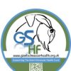 Giant Schnauzer Heath Fund