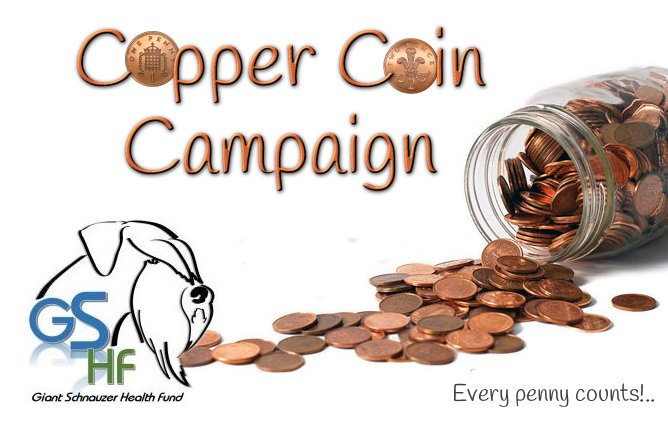 copper_coin_campaign