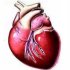 Dilated Cardiomyopathy (DCM)