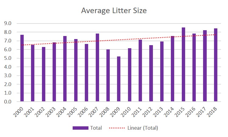 graph4